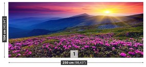 Fototapeta Vliesová Rhododendron kvety 152x104 cm