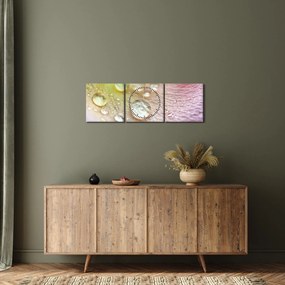 Obraz - Kvapky rosy (s hodinami) (90x30 cm)