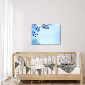 Obraz - Motýľ na kvetoch orchidey, modrý (70x50 cm)