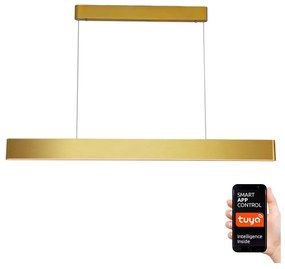 Immax Neo 07157-G120X-LED RGB+CCTW Stmievateľný luster MILANO LED/40W/230V Tuya IM1051