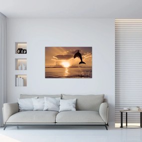 Obraz - Delfín pri západe slnka (90x60 cm)