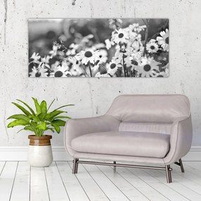 Obraz - Kopretiny (120x50 cm)
