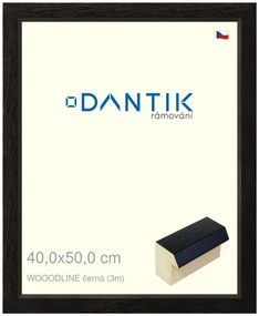 DANTIK rám na obraz 40x50 | WOODLINE černá (Plexi Čiré)