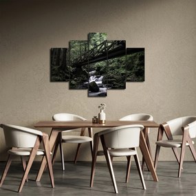 Obraz z čierneho lesa (150x105 cm)