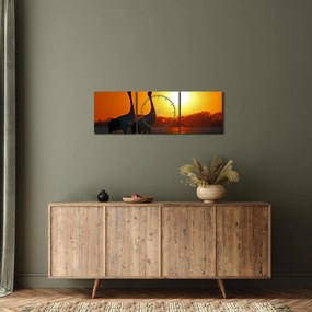 Obraz vtákov pri západe slnka (s hodinami) (90x30 cm)