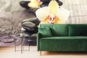 Fototapeta orchidea a Zen kamene