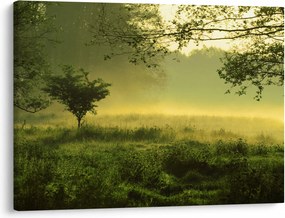 Obraz - Prebúdzajúci sa les (70x50 cm)