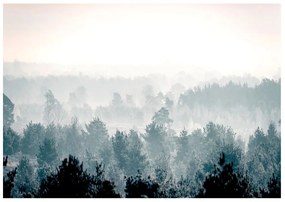 Samolepiaca fototapeta Winter Forest