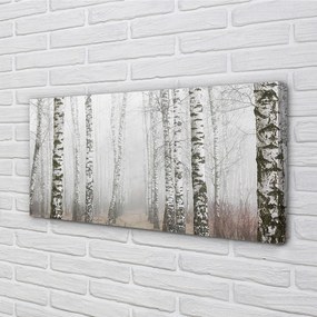 Obraz canvas hmla breza 140x70 cm