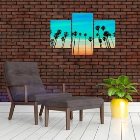 Obraz - Kalifornia (90x60 cm)