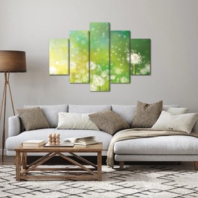 Obraz - Odkvitnuté púpavy (150x105 cm)