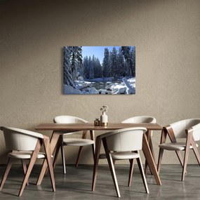 Obraz zasneženého lesa (90x60 cm)