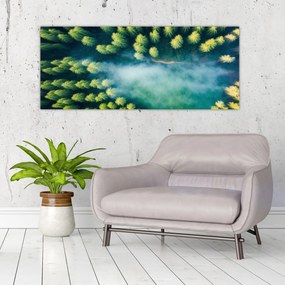 Obraz - Hmlou zahalený les (120x50 cm)