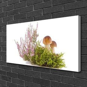 Obraz Canvas Huby rastlina príroda 120x60 cm