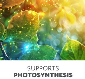 Brilagi-LED Stmiev. lampa s klipom na pestovanie rastlín VITABLOOM 3xLED/10W/230V