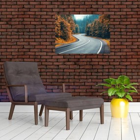 Obraz - Kľukatá cesta (70x50 cm)