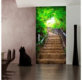 Fototapeta na dvere Stairs from nature