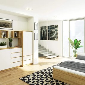 Skriňa STAR S 60 cm 2D 2SZ dub artisan / biela