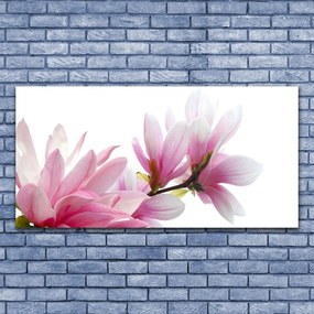 Obraz na akrylátovom skle Magnolie kvet 120x60 cm