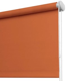 Roleta na stenu 200x175 K825