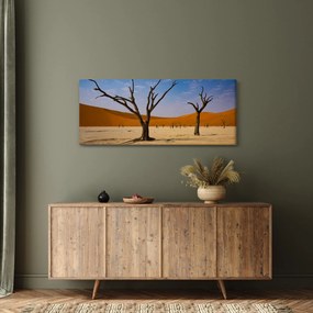 Obraz - Údolie smrti (120x50 cm)