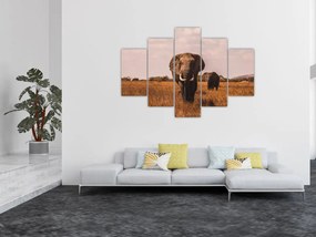 Obraz - Príchod slona (150x105 cm)