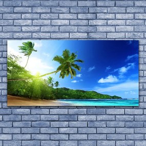 Obraz plexi Pláž more palma krajina 120x60 cm