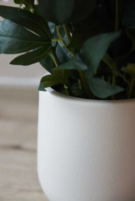 Umelá pivonka v krémovom kvetináči PEONY, výška 70 cm, ružová