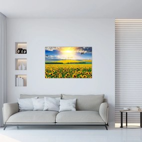 Obraz - Pole slnečníc (90x60 cm)
