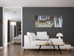 Obraz - Vlci v zime (120x50 cm)