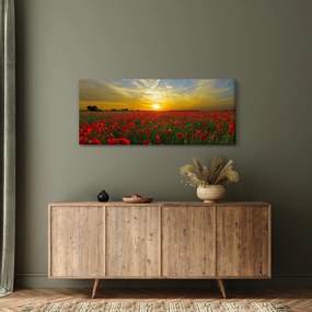 braz poľa vlčích makov (120x50 cm)