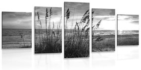 5-dielny obraz západ slnka na pláži v čiernobielom prevedení - 100x50