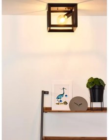 Lucide 73102/01/15 - Stropné svietidlo THOR 1xE27/60W/230V