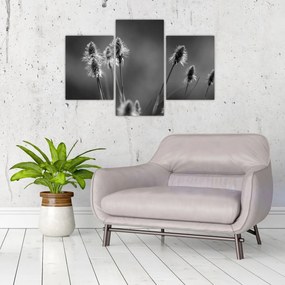 Obraz - Béžová soft grass N⁰2 (90x60 cm)