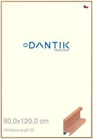 DANTIK rám na obraz 80x120 | ALU Dýha třešeň (Plexi Čiré)