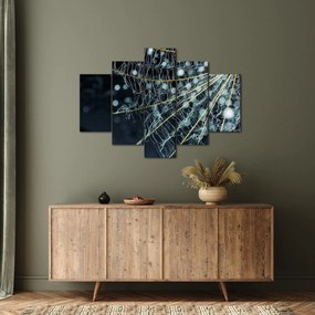 Obraz -Kvet s pavučinou (150x105 cm)