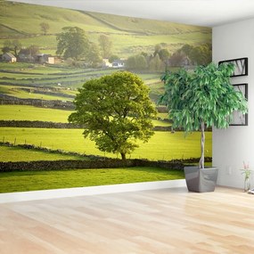 Fototapeta Vliesová Anglie derbyshire 208x146 cm