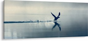 Obraz - Potáplica (120x50 cm)
