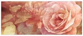 Obraz ruží (120x50 cm)
