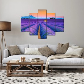 Obraz - Levanduľové pole (150x105 cm)