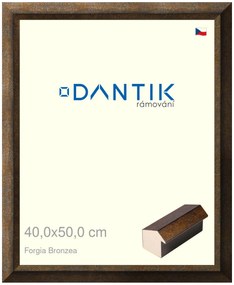 DANTIK rám na obraz 40x50 | Forgia Bronzea (Plexi Čiré)