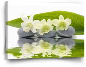 Sablio Obraz Biela orchidea - 60x40 cm