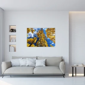 Obraz - Aspen (90x60 cm)