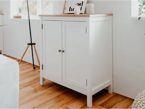 Skrinka 2-dverová Bergen, biela/dub artisan%