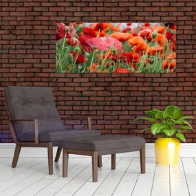 Obraz z poľa vlčích makov (120x50 cm)