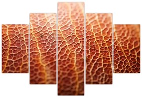 Obraz - Detail textúry (150x105 cm)