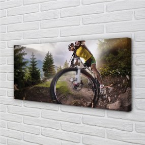 Obraz canvas Cloud na horskom bicykli 120x60 cm