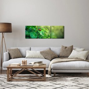 Obraz - Lienka (s hodinami) (90x30 cm)