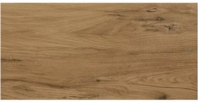 Gresová dlažba Ashville Brown 29,7/59,8