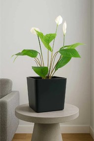 Izbový kvetináč CADRAT, sklolaminát, 30x30x30 cm, antracit